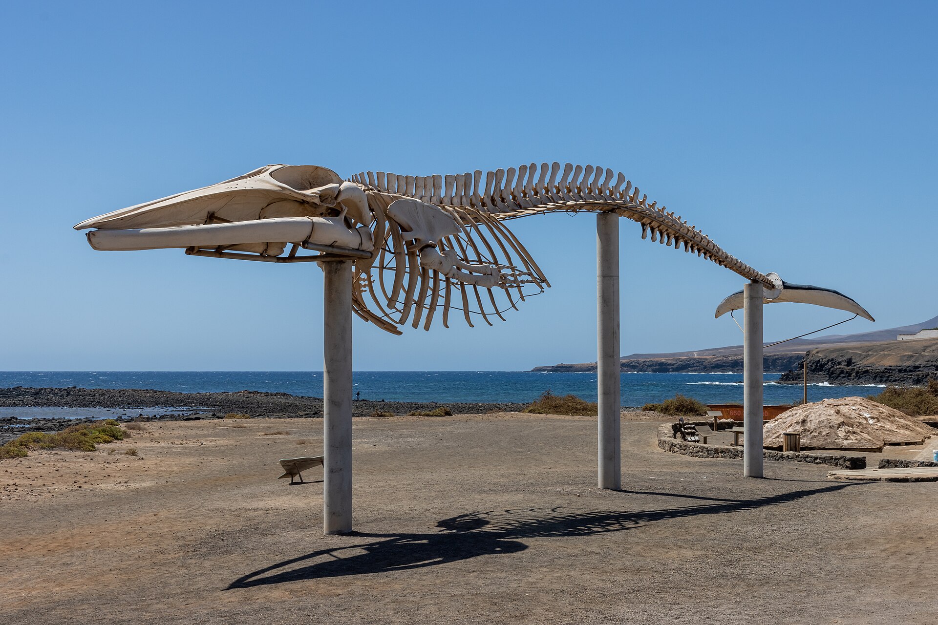 At Fuerteventura 2022 071