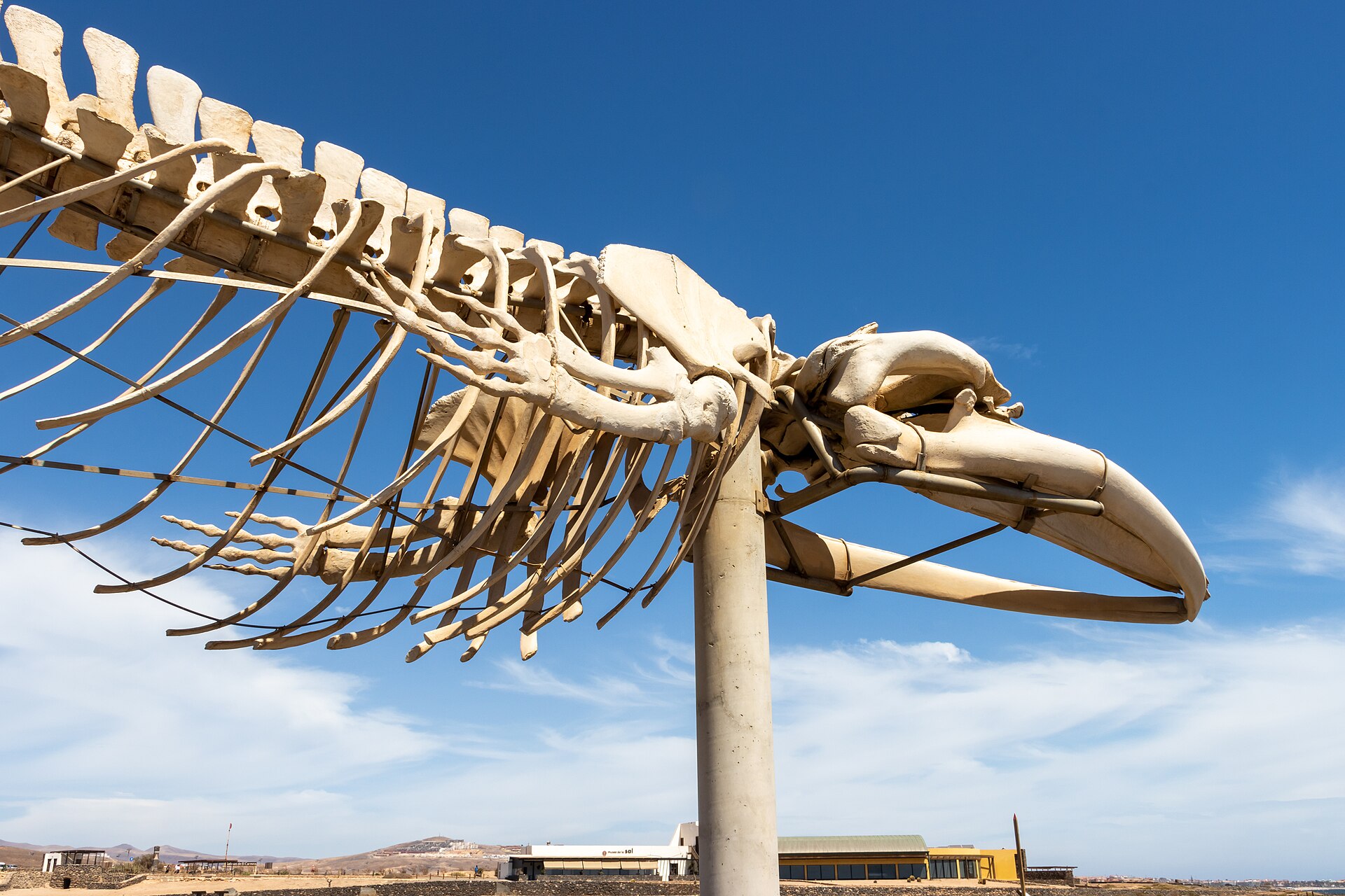 At Fuerteventura 2022 072