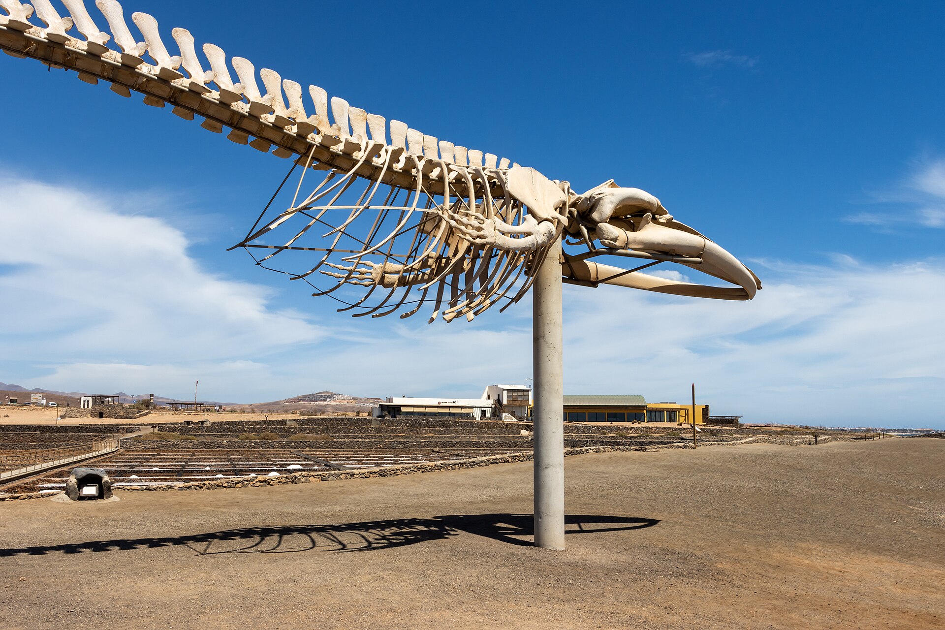 At Fuerteventura 2022 073